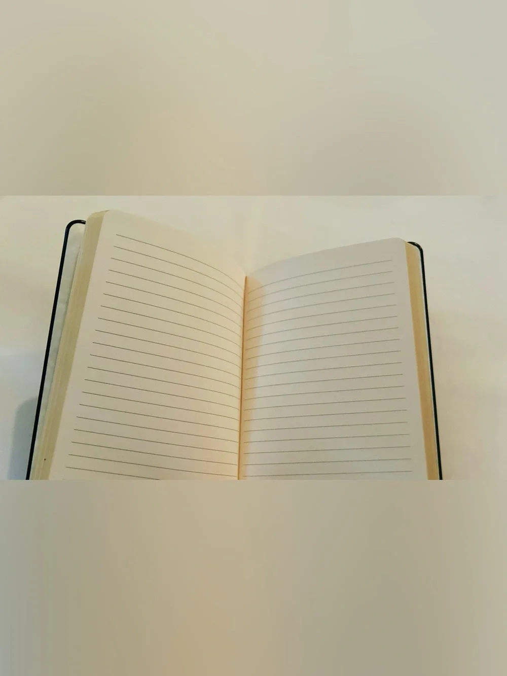 New Leather Brooks Brothers Crown Fleece Journal 244 Leather Pages made in USA